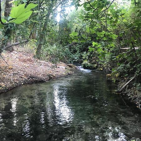 Willa Bosque Alto El Bosque Zewnętrze zdjęcie