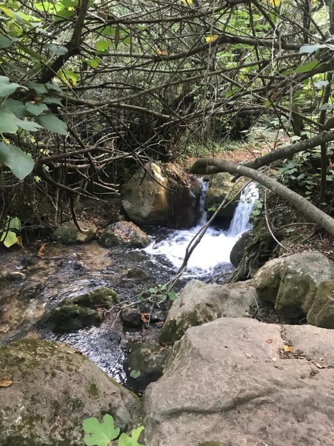 Willa Bosque Alto El Bosque Zewnętrze zdjęcie